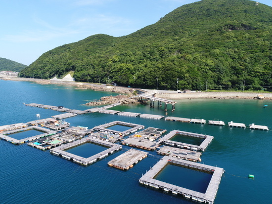 由良海釣り公園